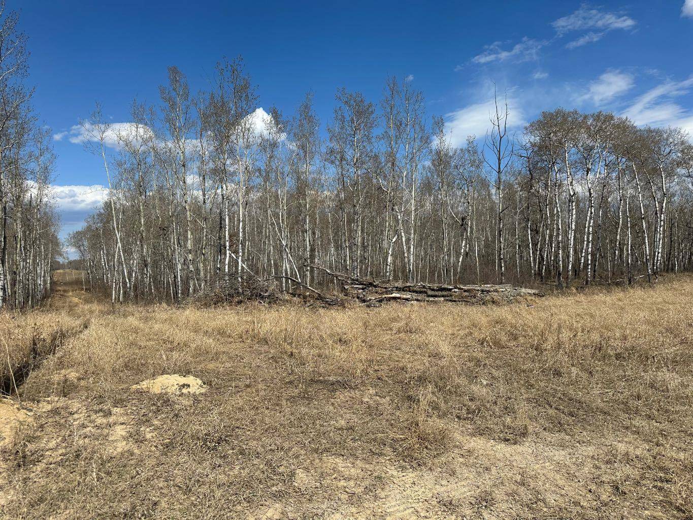 Turtle Lake, SK S0M 2Y0,SE27-52-19-W3 Lot 2 - 1