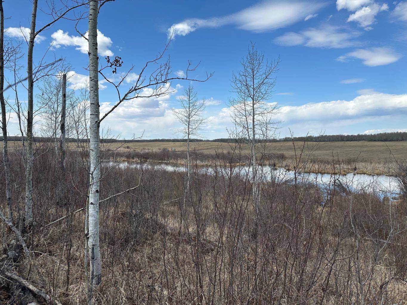 Turtle Lake, SK S0M 2Y0,SE27-52-19-W3 Lot 2 - 1