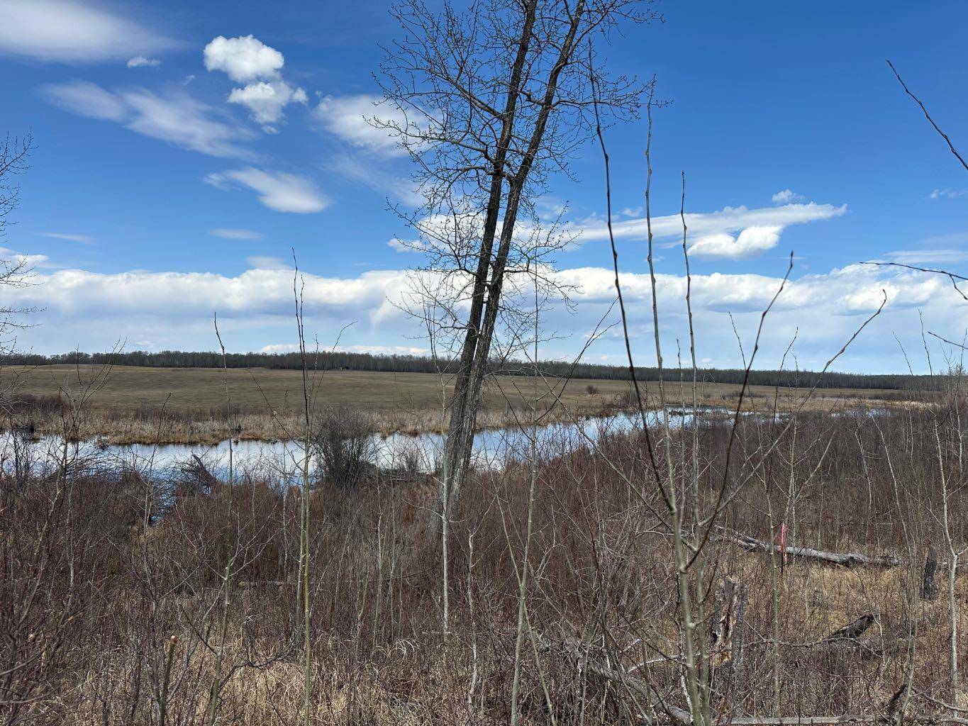 Turtle Lake, SK S0M 2Y0,SE27-52-19-W3 Lot 2 - 1