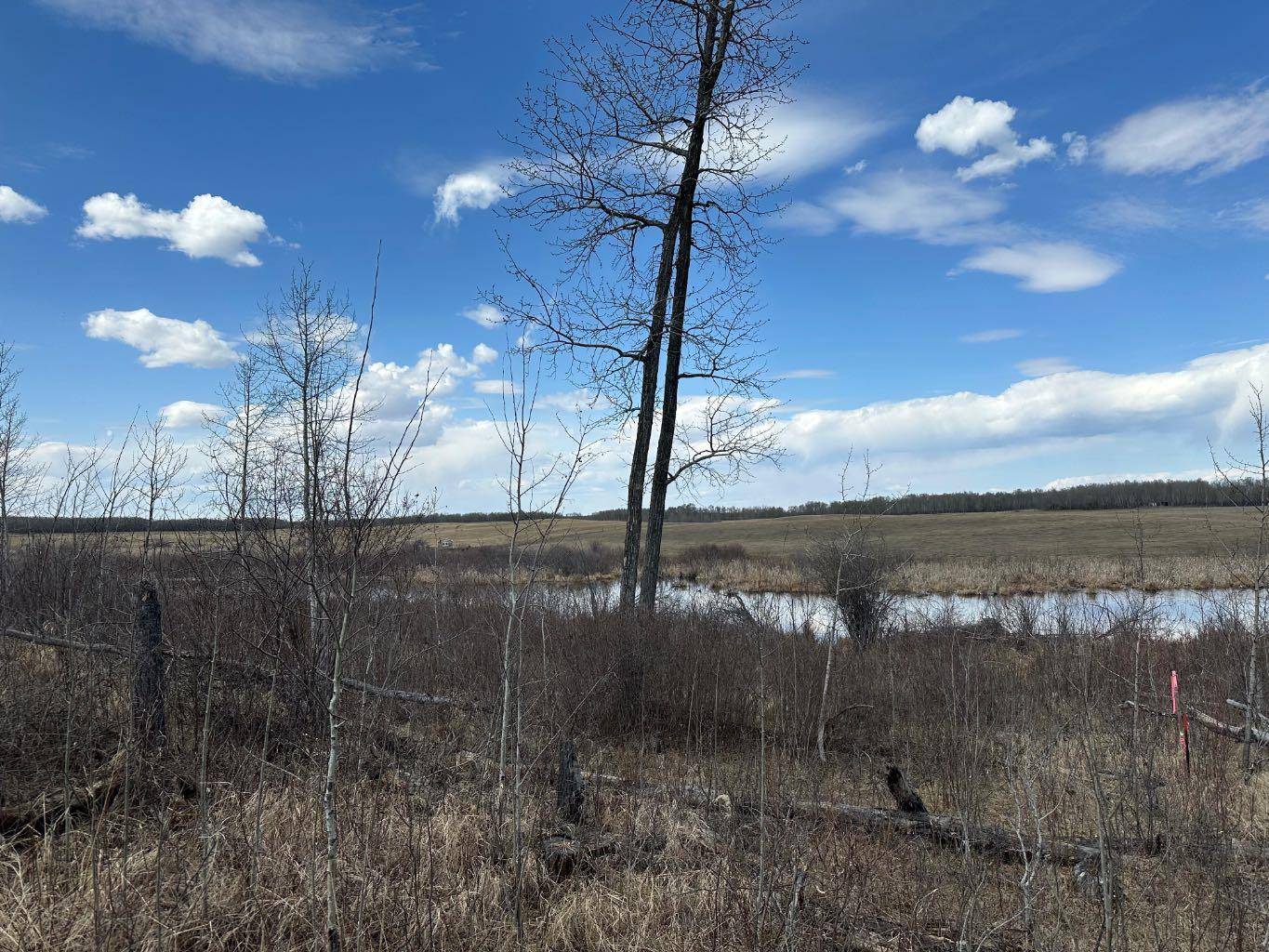 Turtle Lake, SK S0M 2Y0,SE27-52-19-W3 Lot 2 - 1