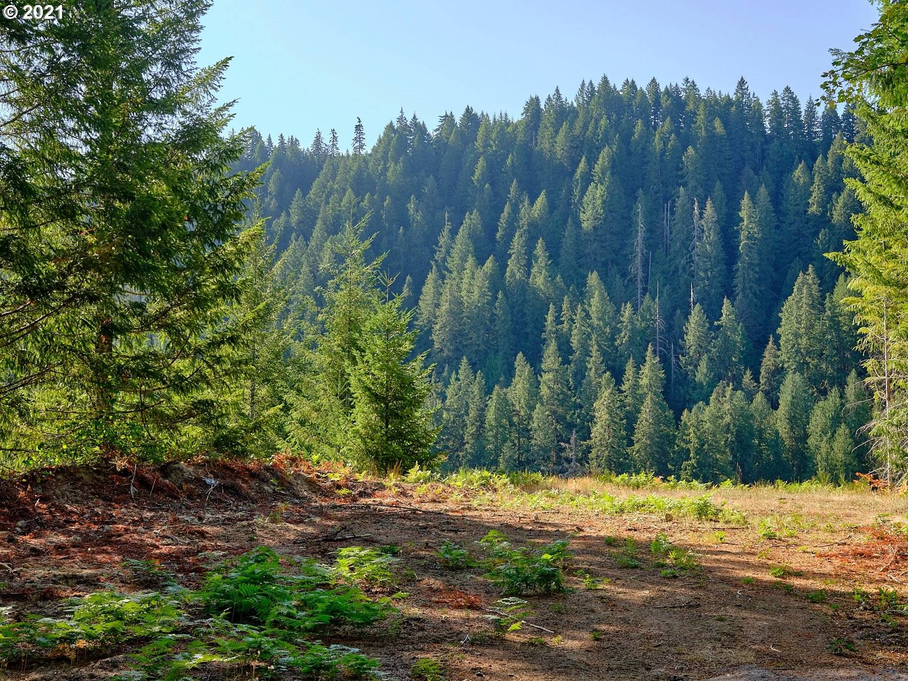 Cougar, WA 98616,2 Loowit LN