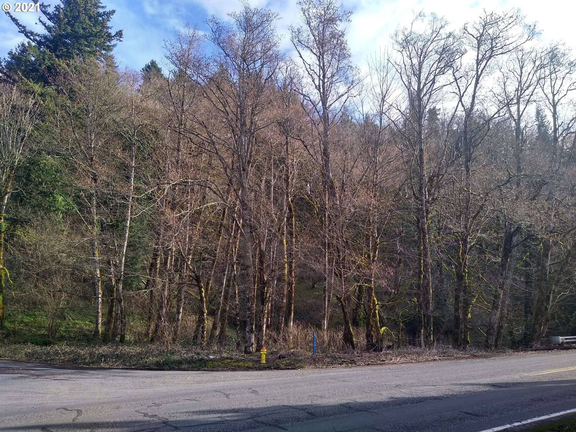 Corbett, OR 97019,NE CORBETT HILL RD