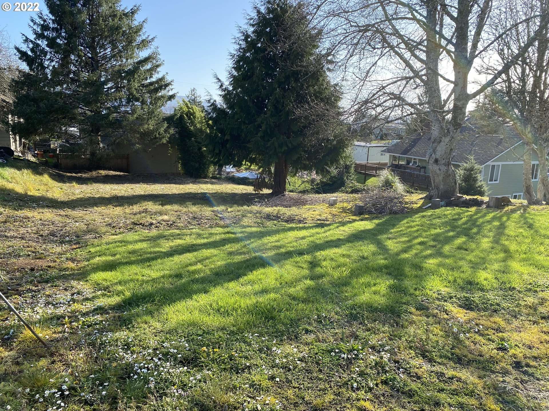 Garibaldi, OR 97118,Driftwood