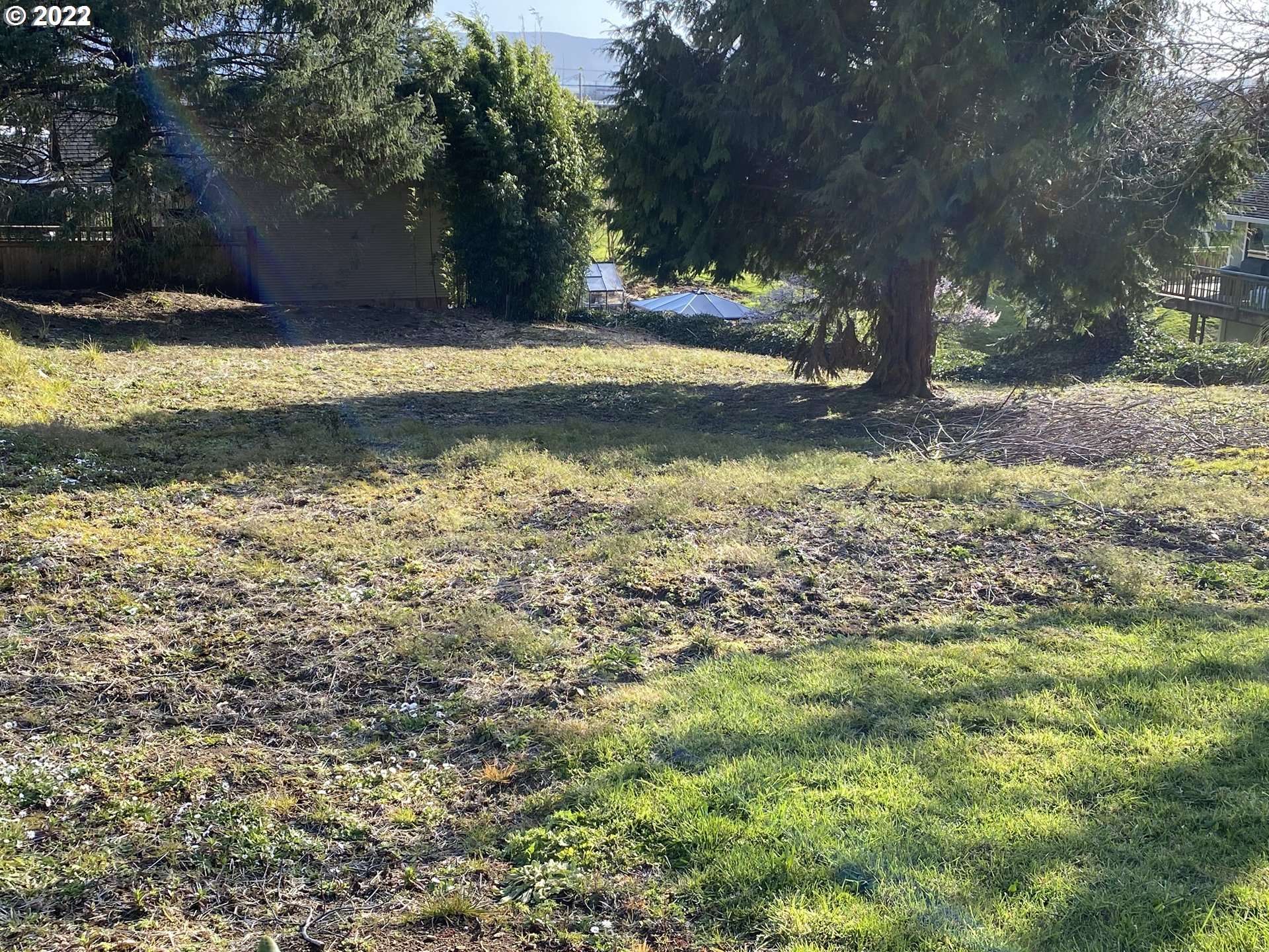 Garibaldi, OR 97118,Driftwood