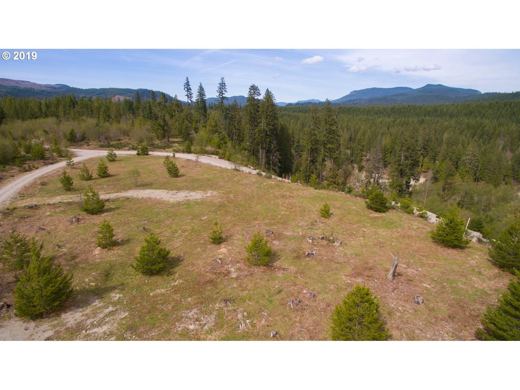 Cougar, WA 98616,1 Big Foot BLVD