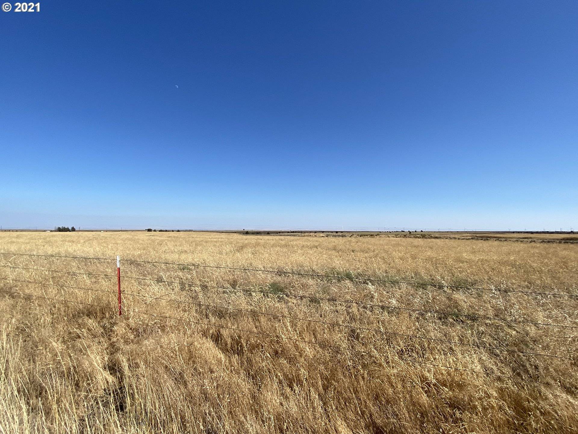 Bickleton, WA 99322,CRIDER VALLEY RD #LOT 2