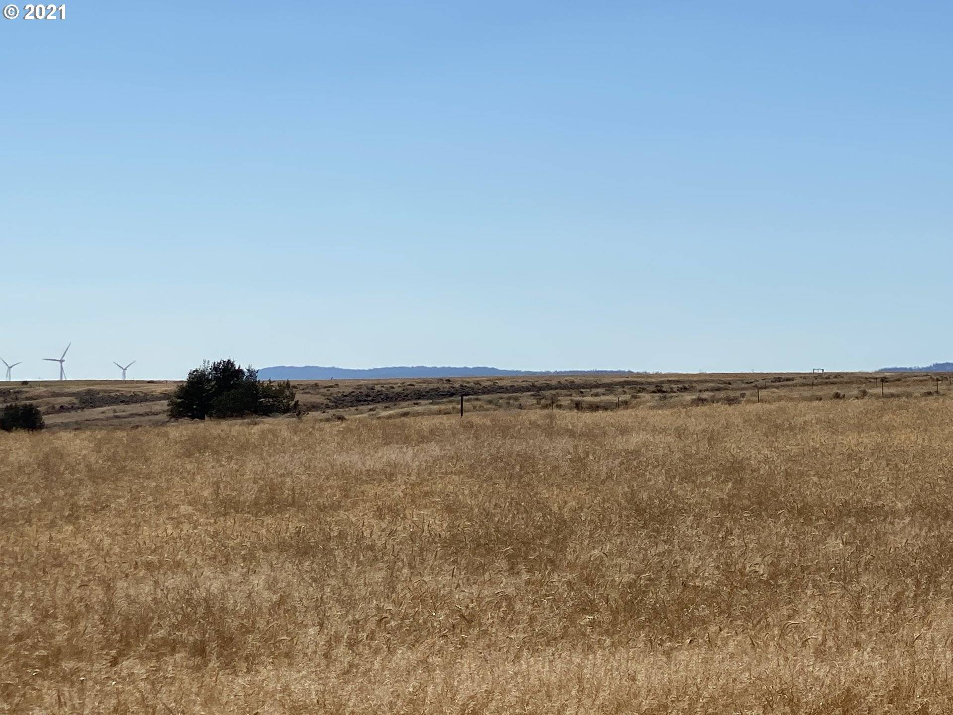 Bickleton, WA 99322,CRIDER VALLEY RD #LOT 2