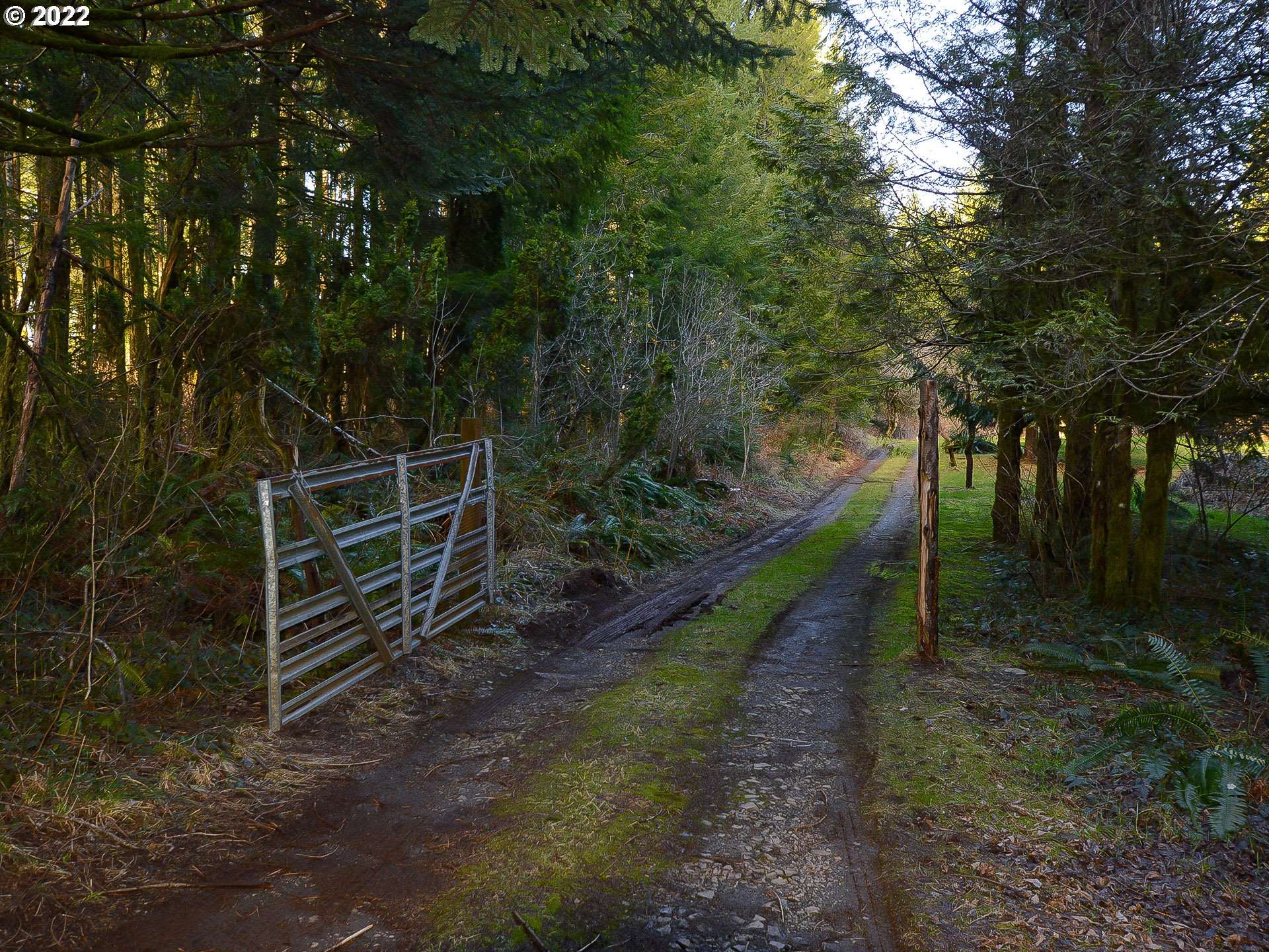 Corbett, OR 97019,2220 NE BROWER RD