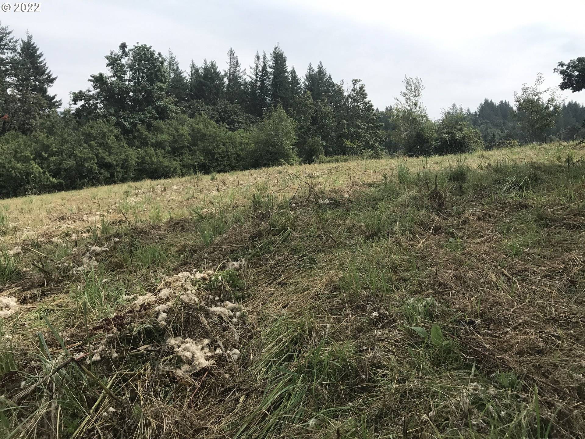 Corbett, OR 97019,E LARCH MOUNTAIN RD