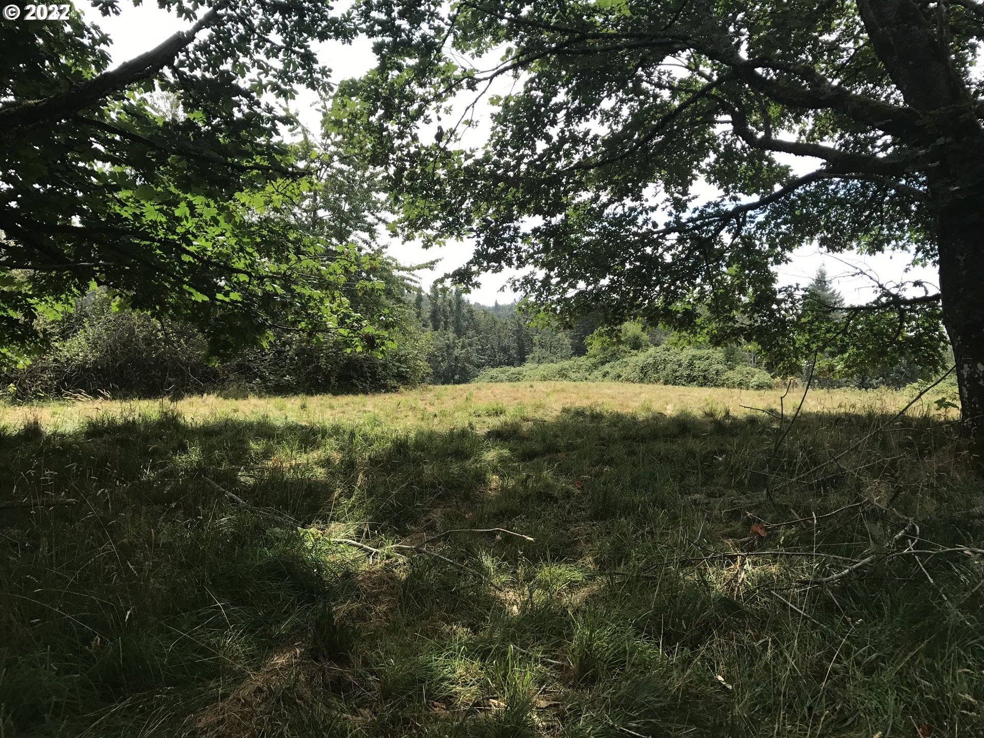 Corbett, OR 97019,E LARCH MOUNTAIN RD