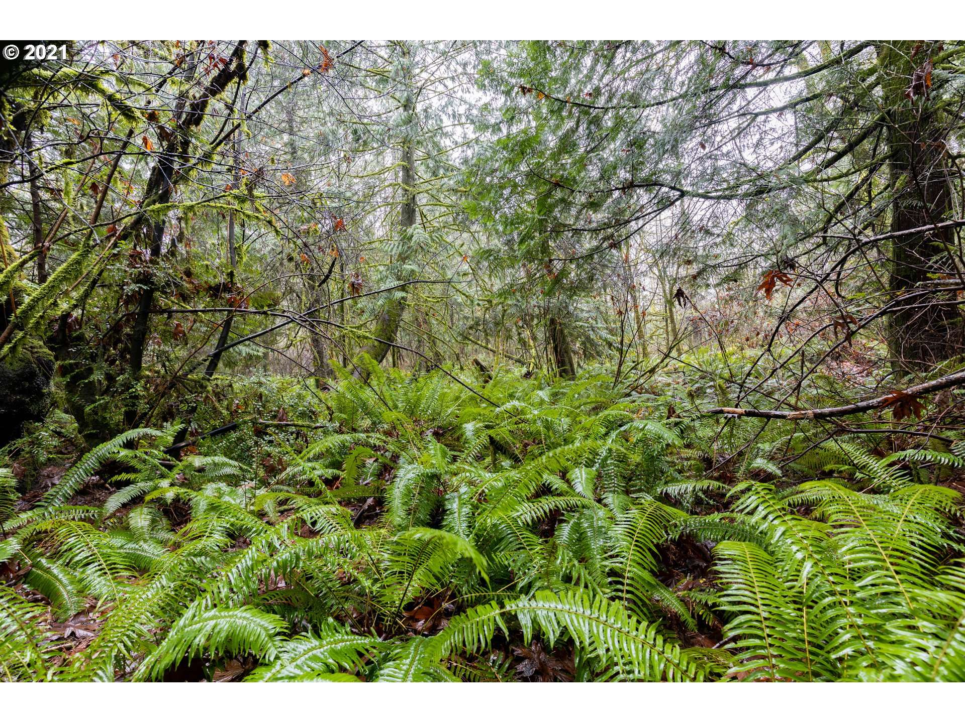 Sandy Hook RD #Lot 1, Poulsbo, WA 98370