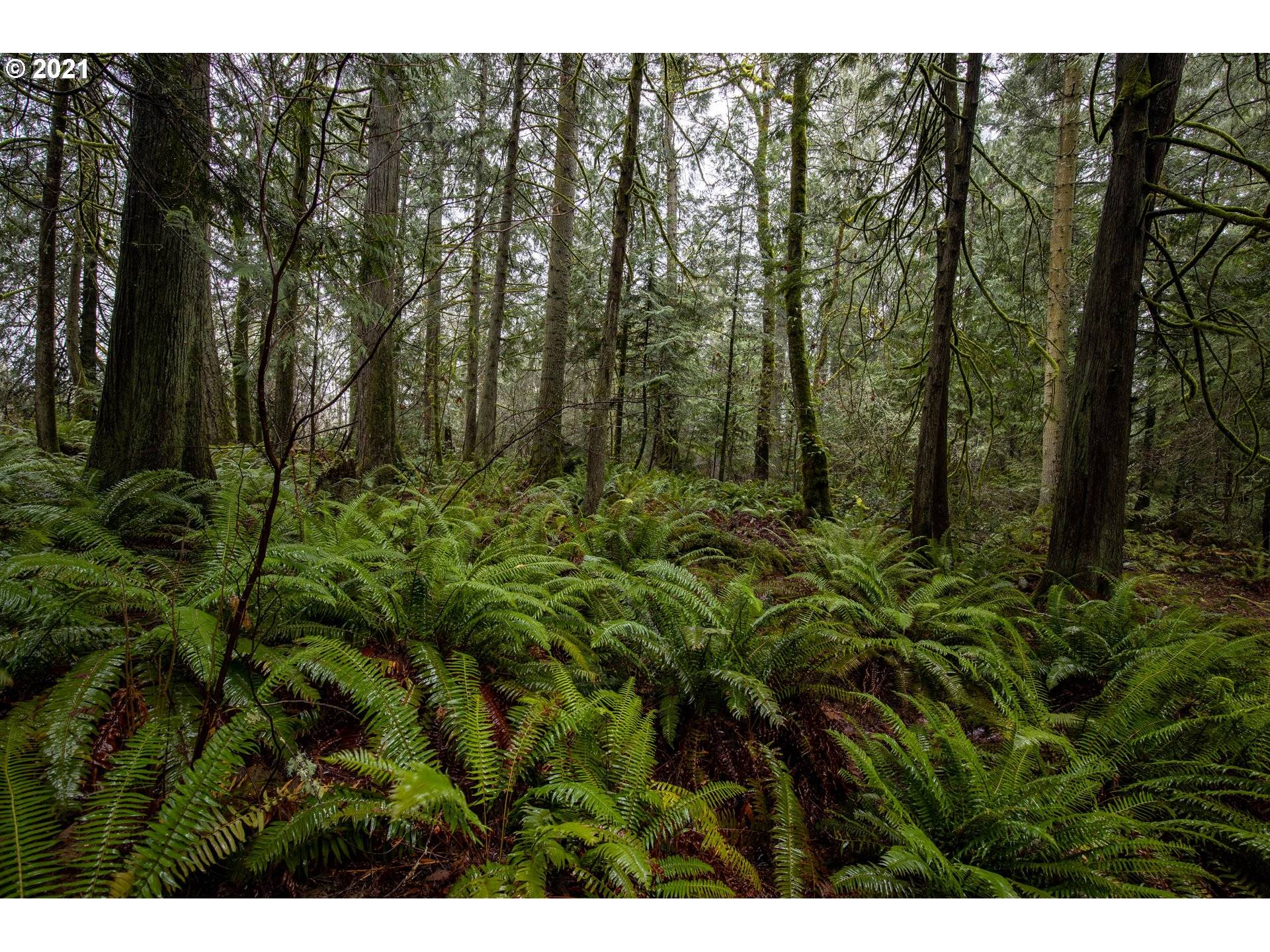 Sandy Hook RD #Lot 1, Poulsbo, WA 98370