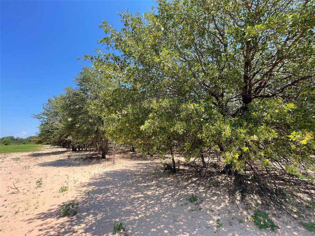 Anson, TX 79501,TBD County Road 356