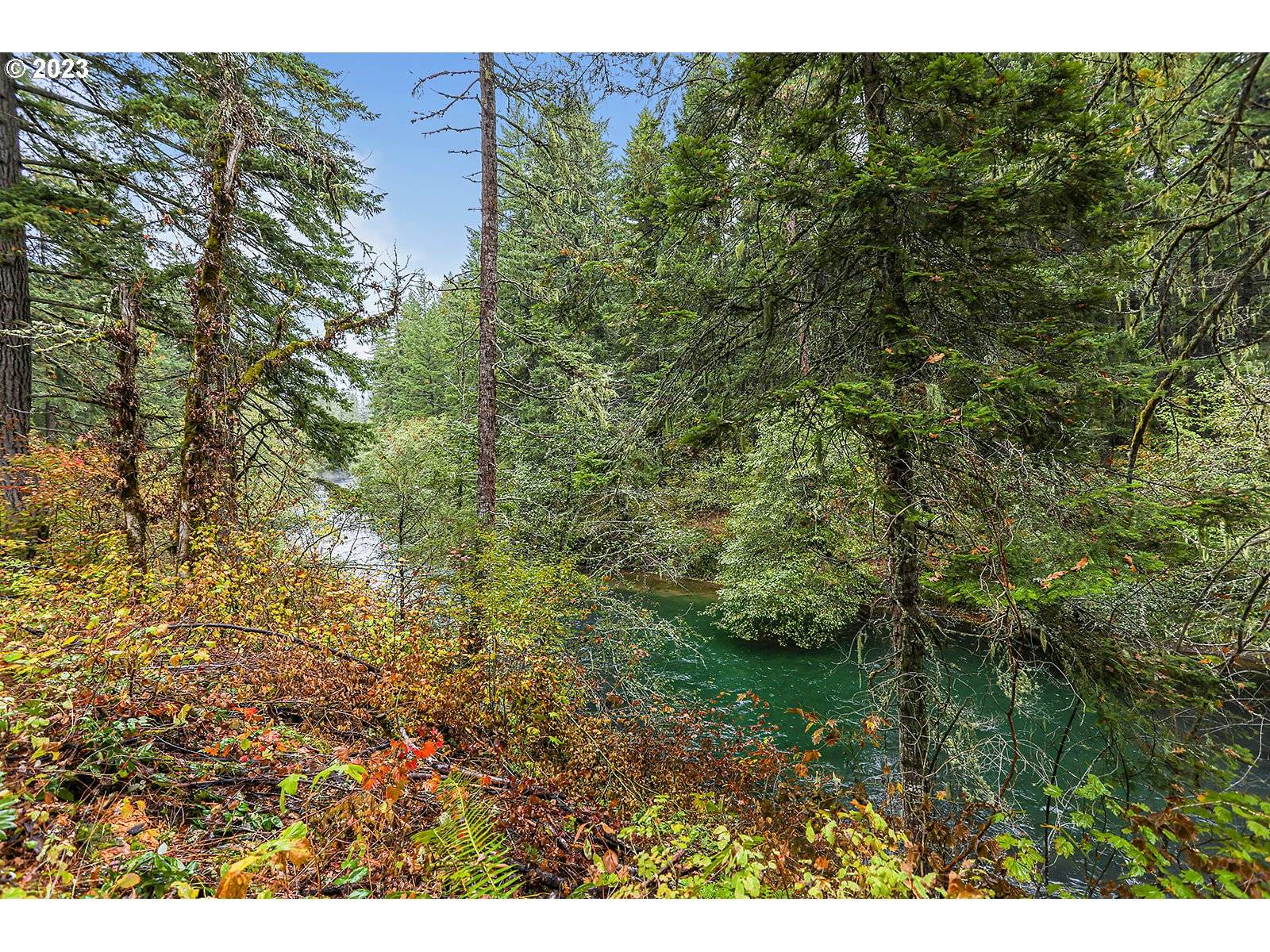 White Salmon, WA 98672,Concorde LN #Lot 2