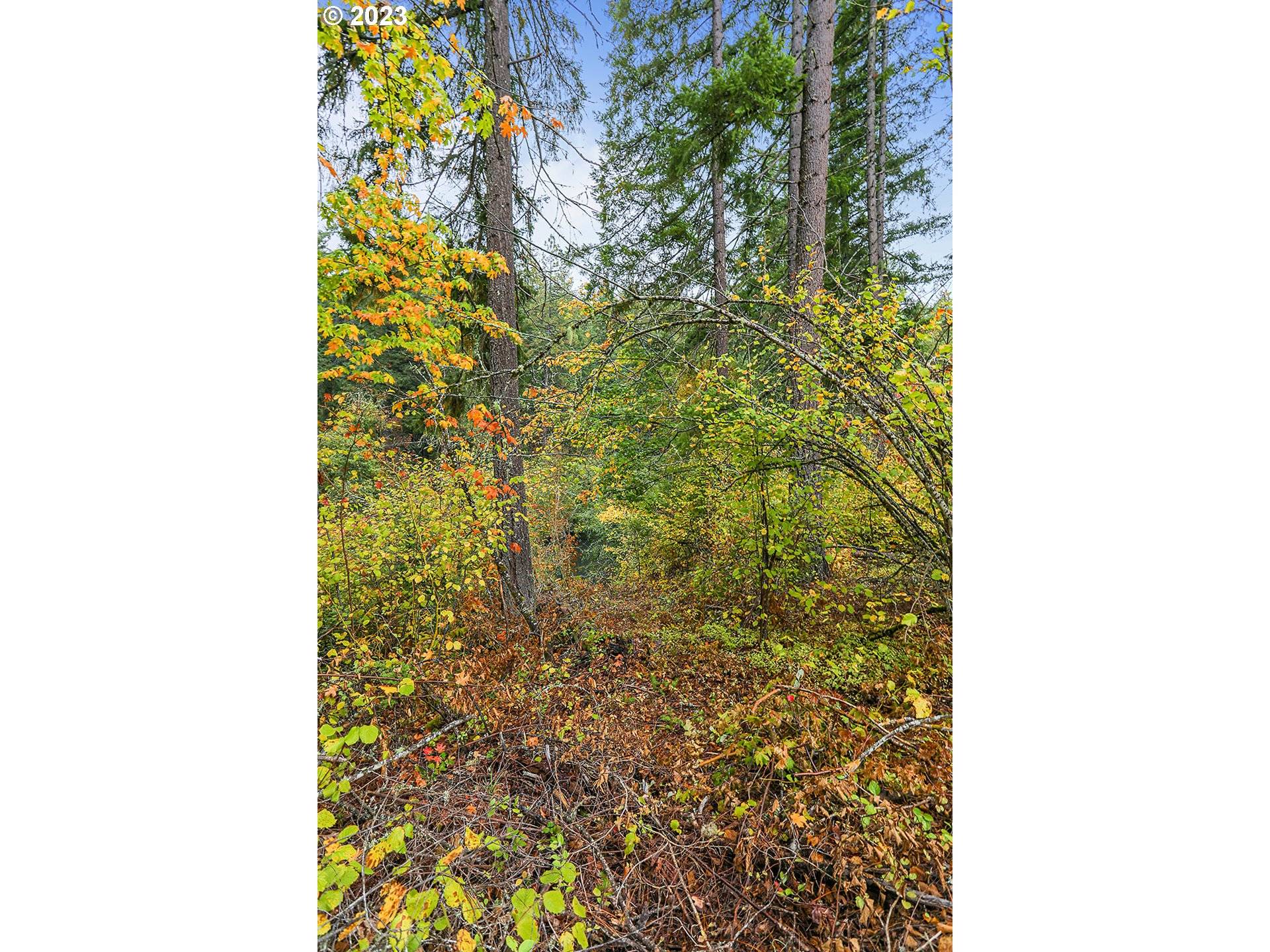 White Salmon, WA 98672,Concorde LN #Lot 2