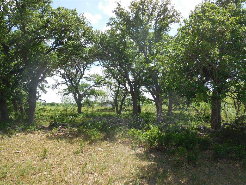 Ranger, TX 76470,TBD Blundell Street