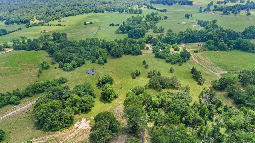 Larue, TX 75770,16157 County Road 4336