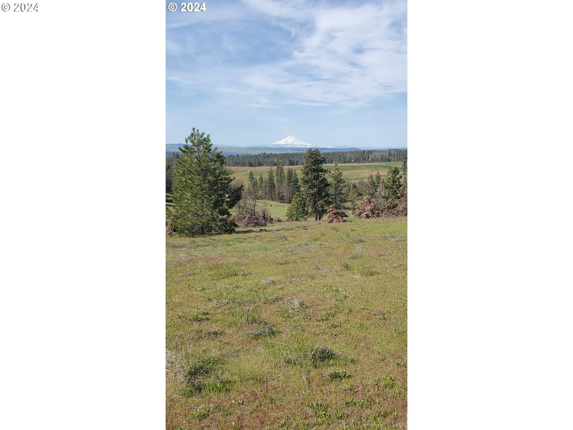 Centerville, WA 98613,40 Mountainscape CIR