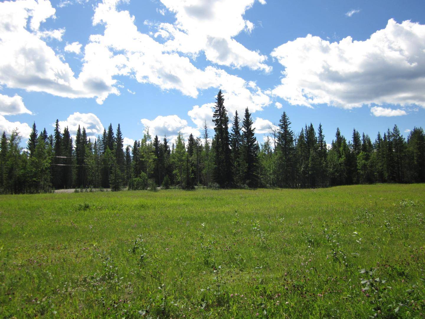 Rural Clearwater County, AB T0M 0M0,53 Boundary Close