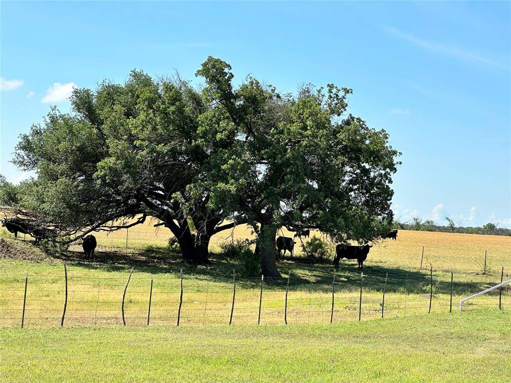 Graham, TX 76450,241 Murray Cemetery Road