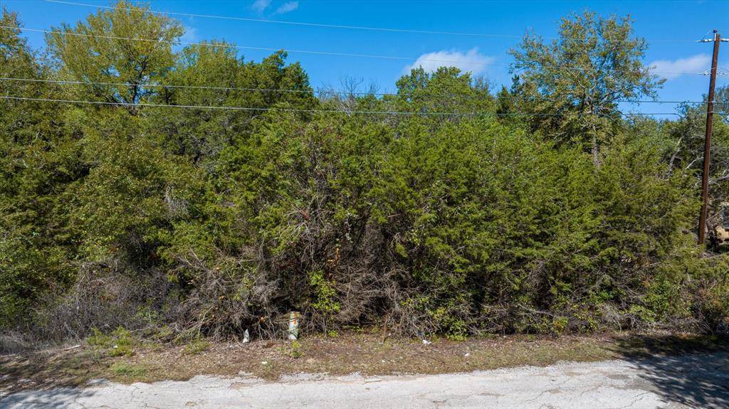 Granbury, TX 76048,814 Hedgerow Trail