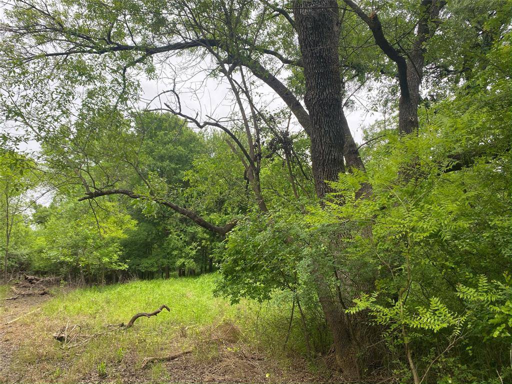 Weatherford, TX 76087,354 Lipan Trail