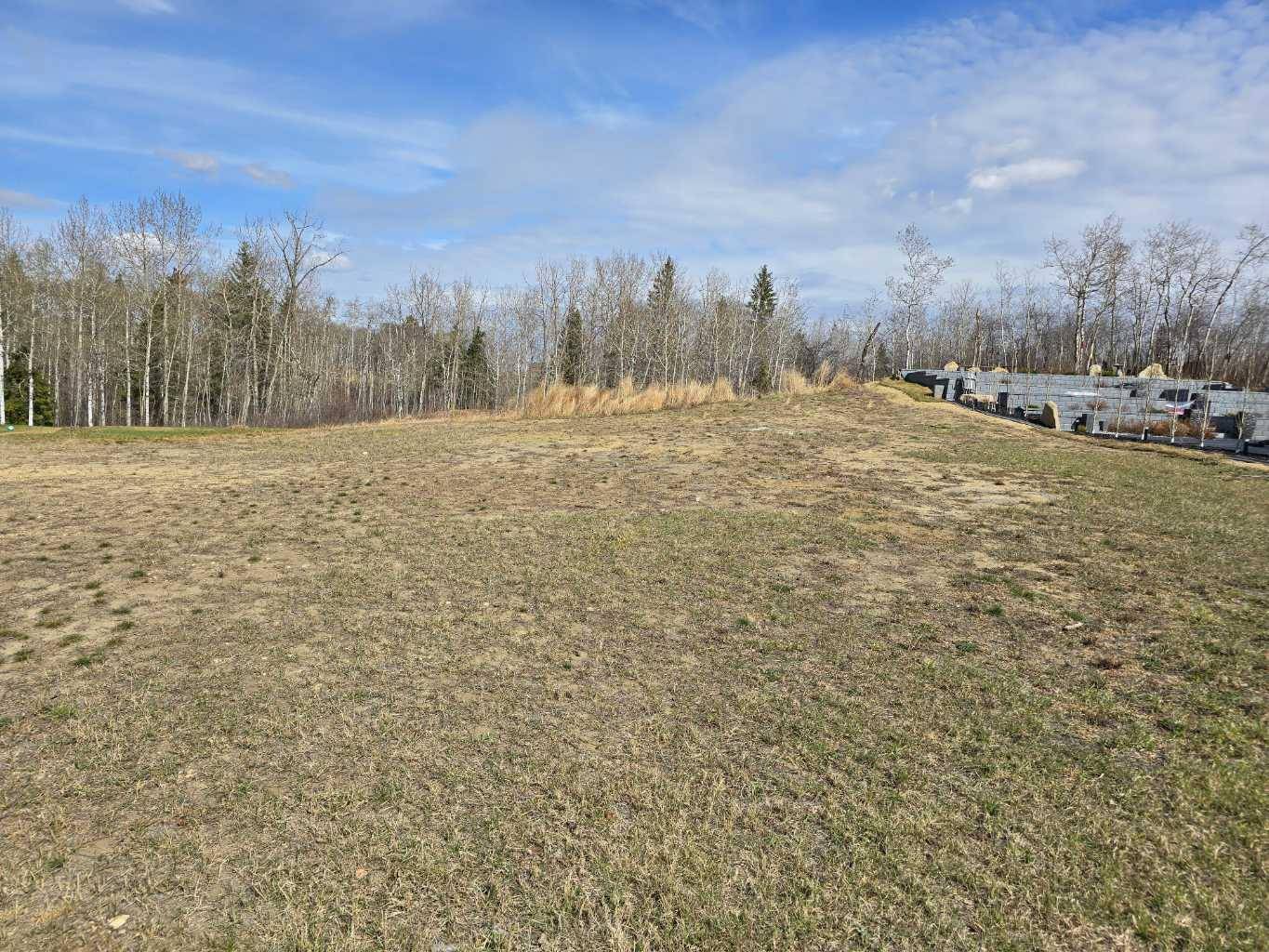 Rural Ponoka County, AB T4J 1R3,125 Wolf Run DR