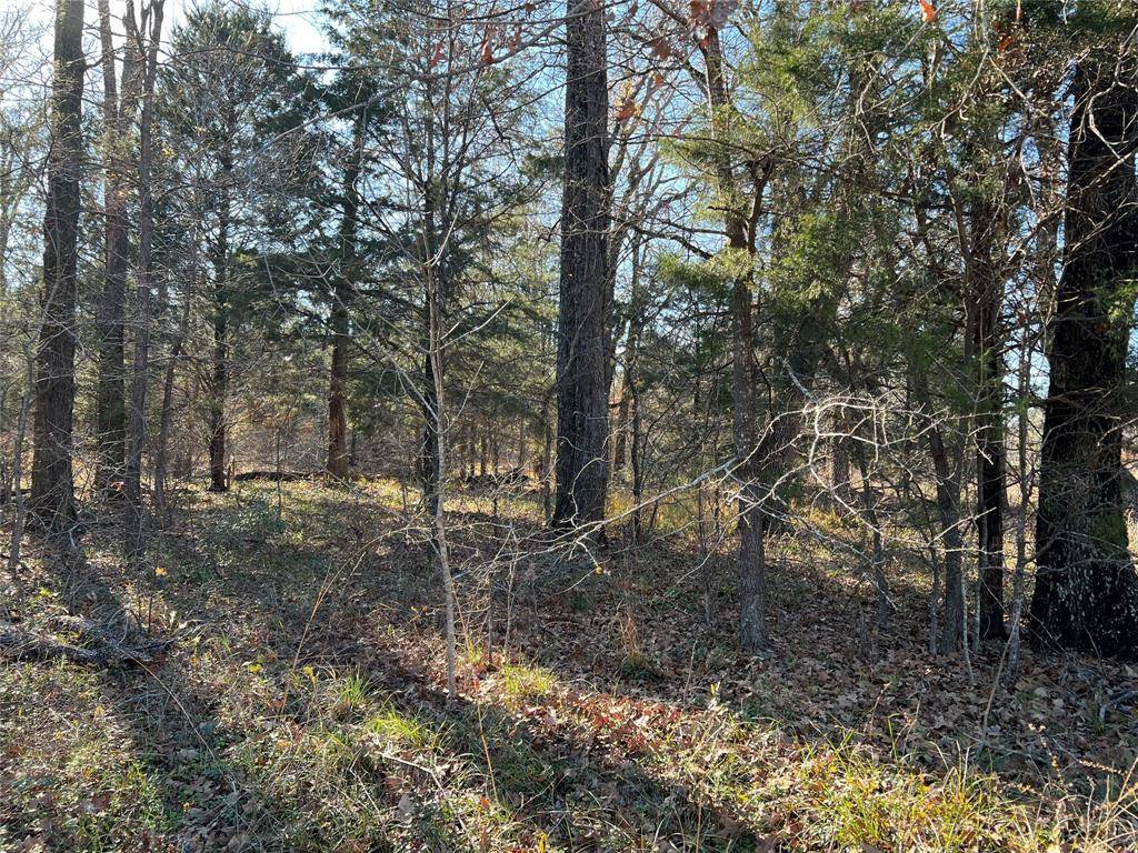 Trinidad, TX 75163,Lot 95 Dogwood Drive