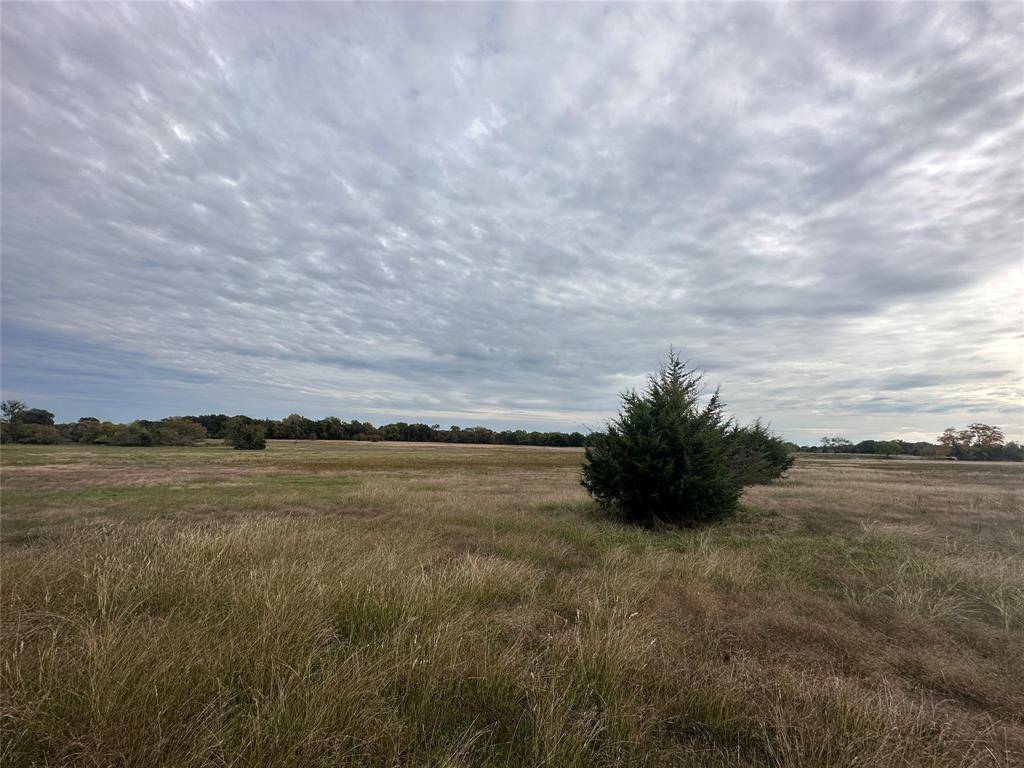 Kemp, TX 75143,TRACT A 2.75AC Co Road 4045