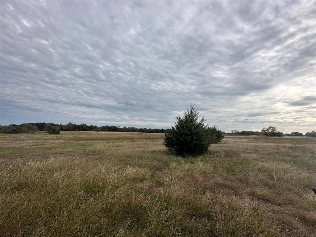 Kemp, TX 75143,TRACT A 2.75AC Co Road 4045