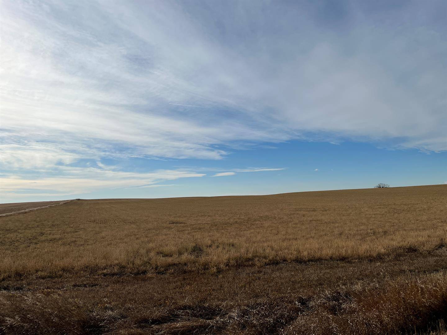 Rural Vulcan County, AB T0L 0R0,NW 27-13-24-W4