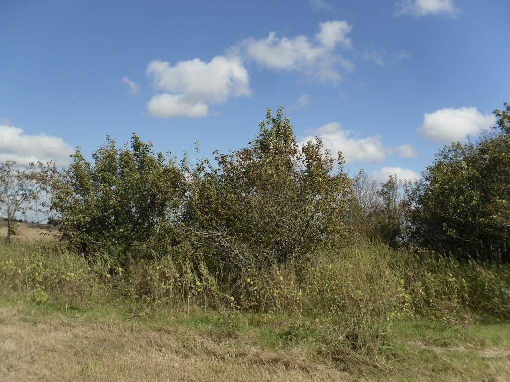 Hubbard, TX 76648,121 Hcr 3379 lot2