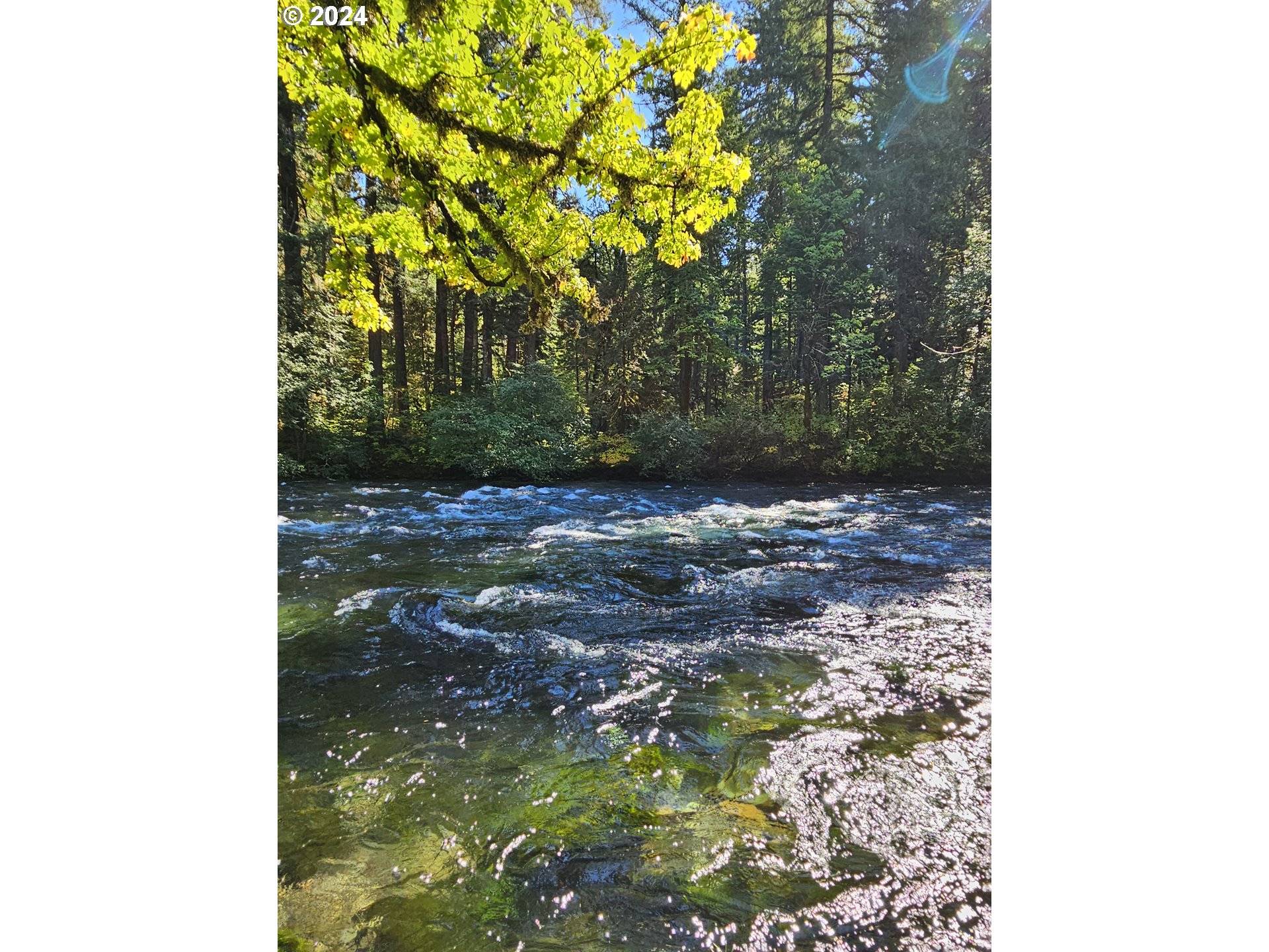 Blue River, OR 97413,55690 McKenzie River Dr