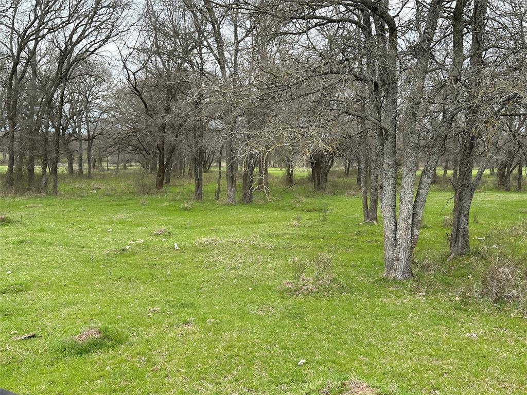 Covington, TX 76636,Lot6 Blk1 TBD SH 171