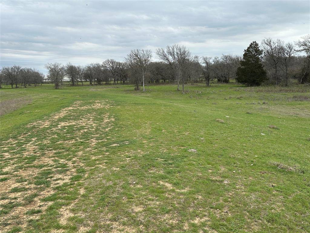 Covington, TX 76636,Lot8 Blk1 TBD SH 171