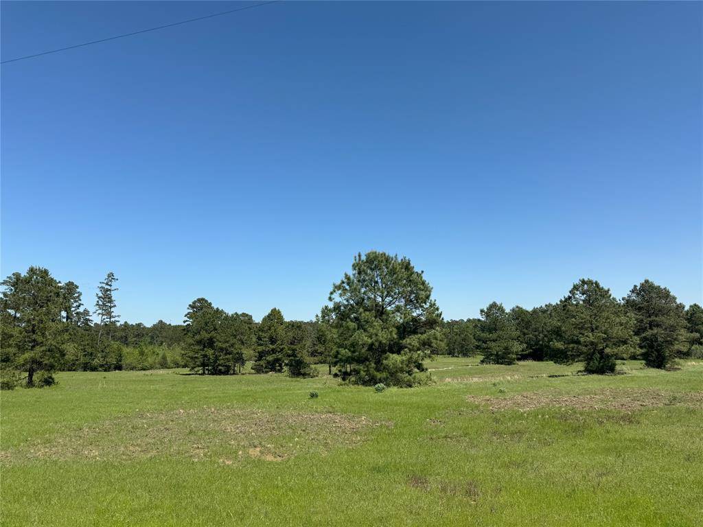 Henderson, TX 75654,TBD-2 CR 364