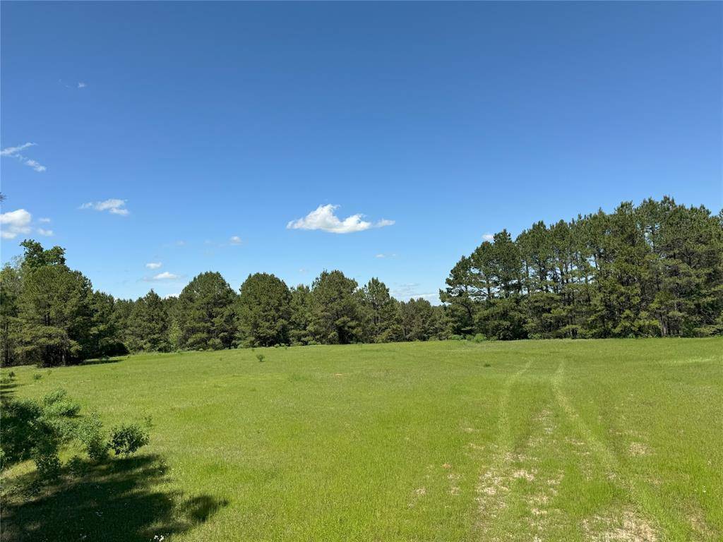 Henderson, TX 75654,TBD-2 CR 364