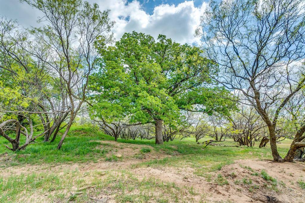 Rising Star, TX 76471,417 Highway 2731