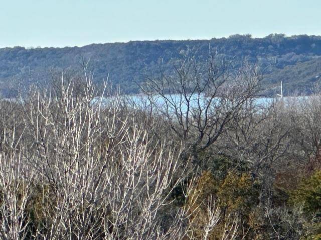 Possum Kingdom Lake, TX 76449,Lot 40 Prairie Falcon Court