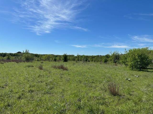 Graford, TX 76449,Lot 22 Northern Bobwhite Court