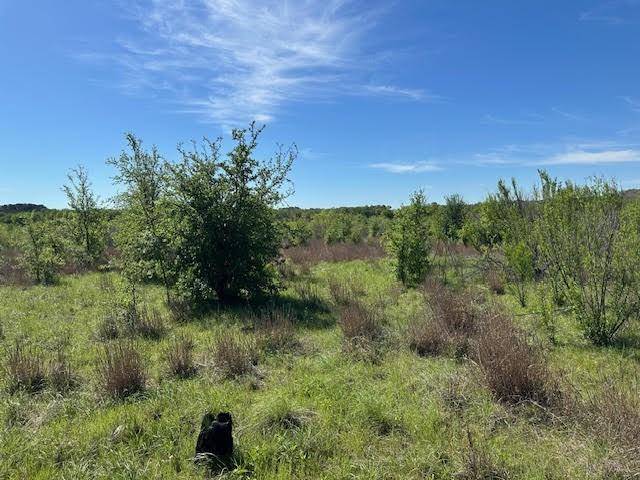 Graford, TX 76449,Lot 22 Northern Bobwhite Court