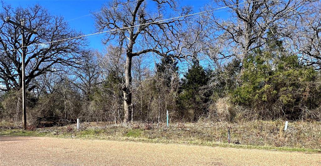 Mabank, TX 75156,000 Cimarron Drive