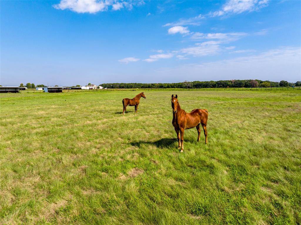 Poetry, TX 75160,TBD County Rd 2458