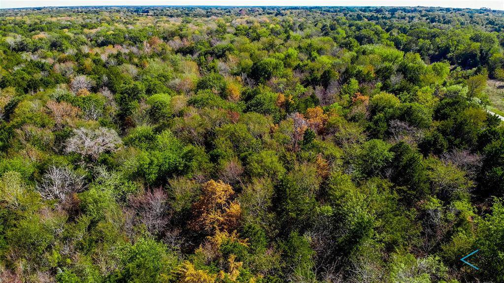 Streetman, TX 75859,Lot 12 SE County Road 2370