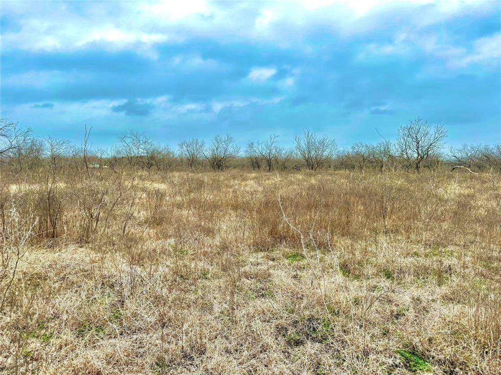 Ennis, TX 75119,TBD Tract 3 Gin Road