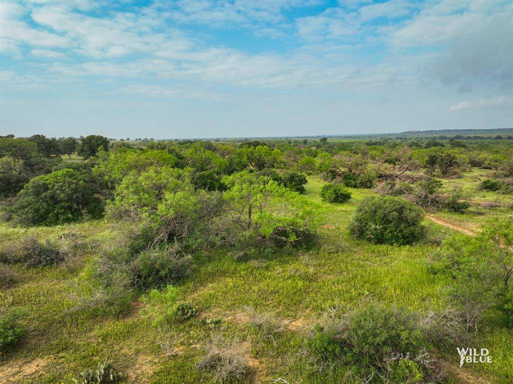 Richland Springs, TX 76871,TBD County Road 241