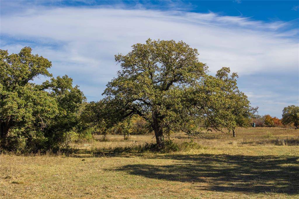 Rising Star, TX 76857,64A County Rd 127