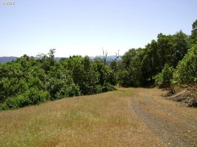 Roseburg, OR 97470,0 NEWTON CREEK RD