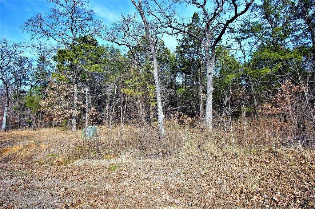 Gordonville, TX 76245,Lot 2A Annadale Lane