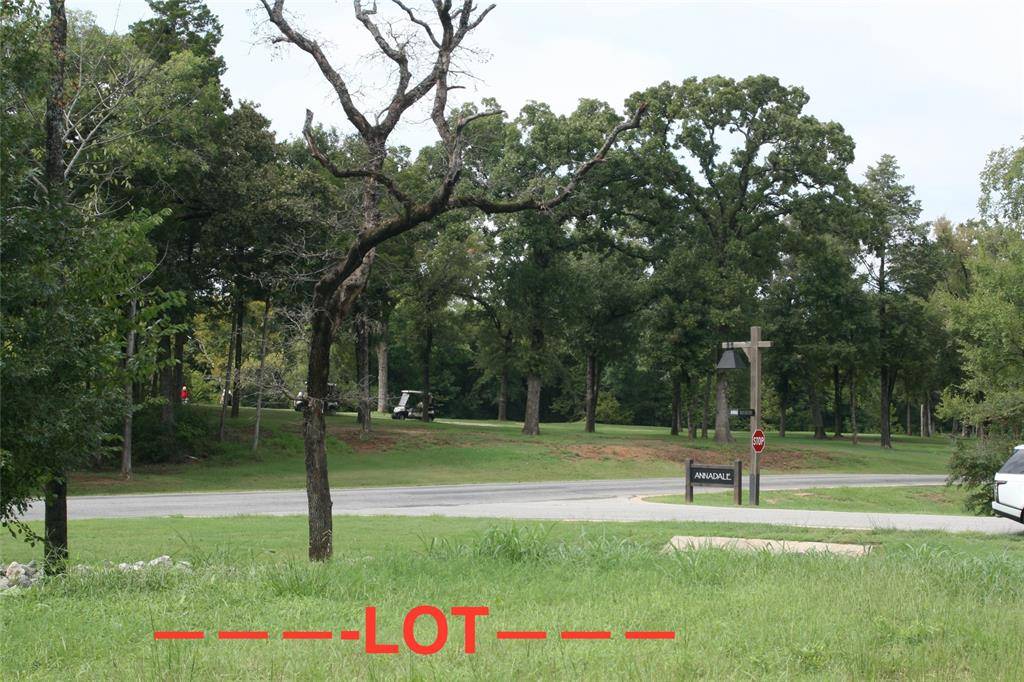 Gordonville, TX 76245,Lot 28 Annadale Lane